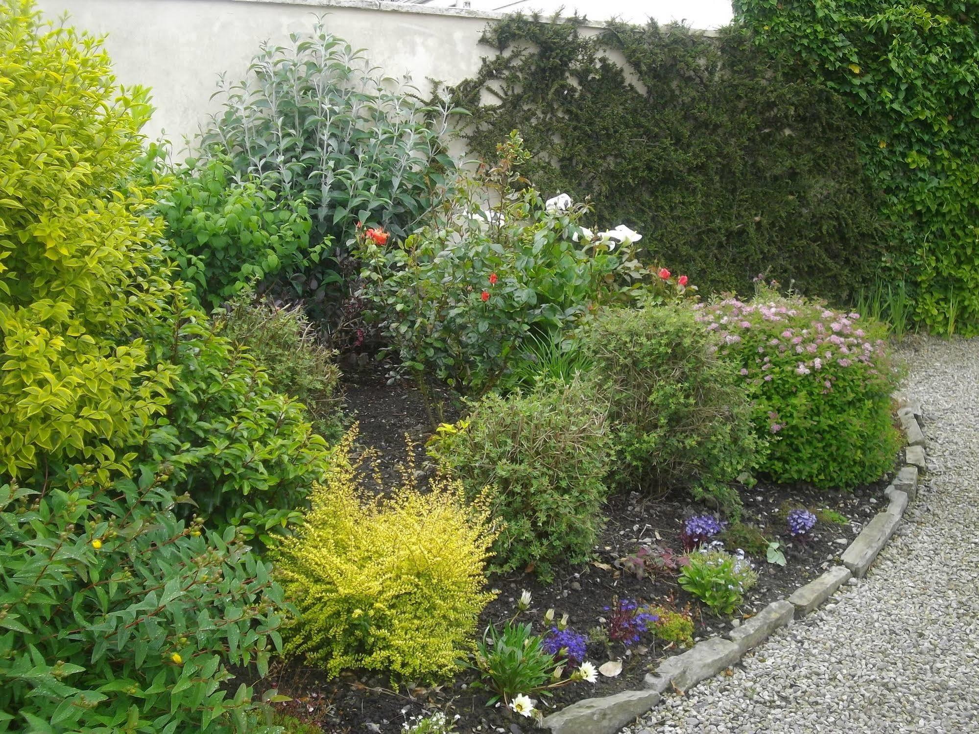 Bed and Breakfast Quay West Ireland Westport Exteriér fotografie